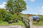 The garden has a pretty place to sit. The friendly owners live next door and you may see them from time to time.