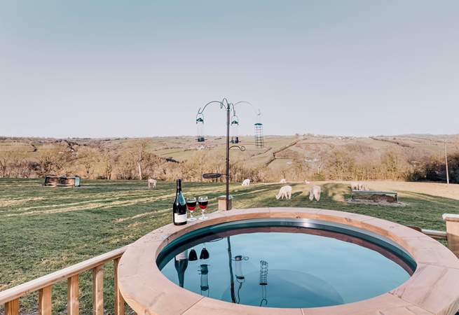 Sink into the hot tub and watch as the lovely alpacas quietly graze in the field beyond.