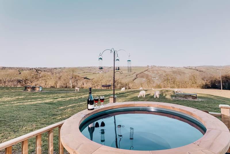 Sink into the hot tub and watch as the lovely alpacas quietly graze in the field beyond.