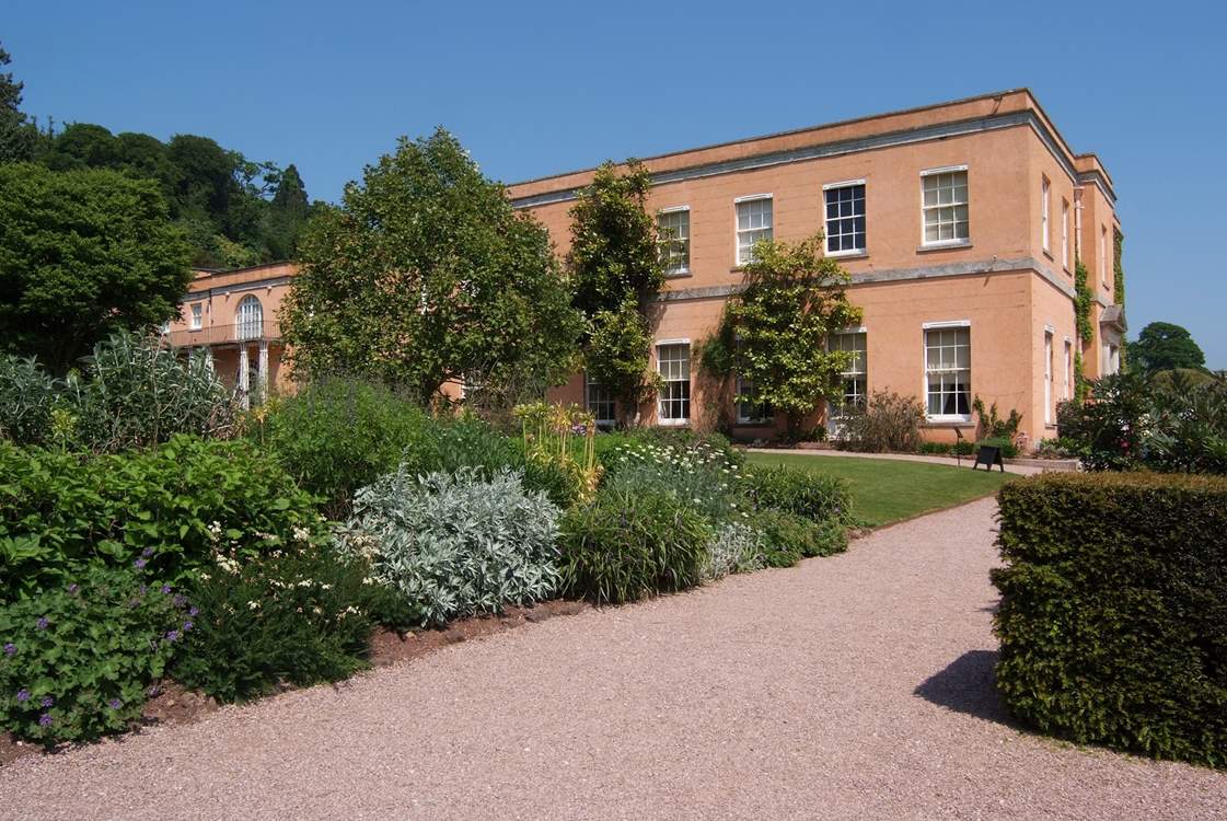 Killerton House offers glorious walks through its pretty gardens, with a lovely cafe serving coffee, cakes and light bites.