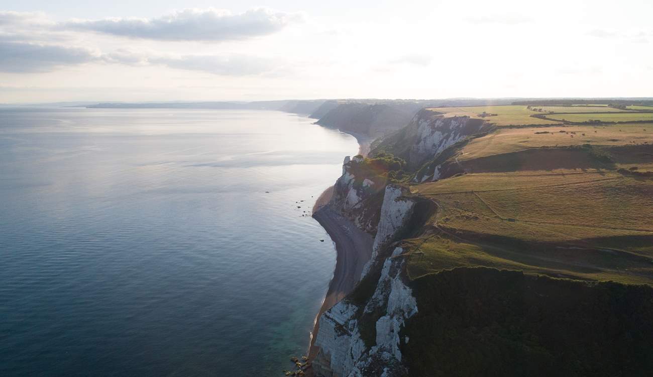 Venture out and explore the dramatic landscape of the Jurassic Coast.