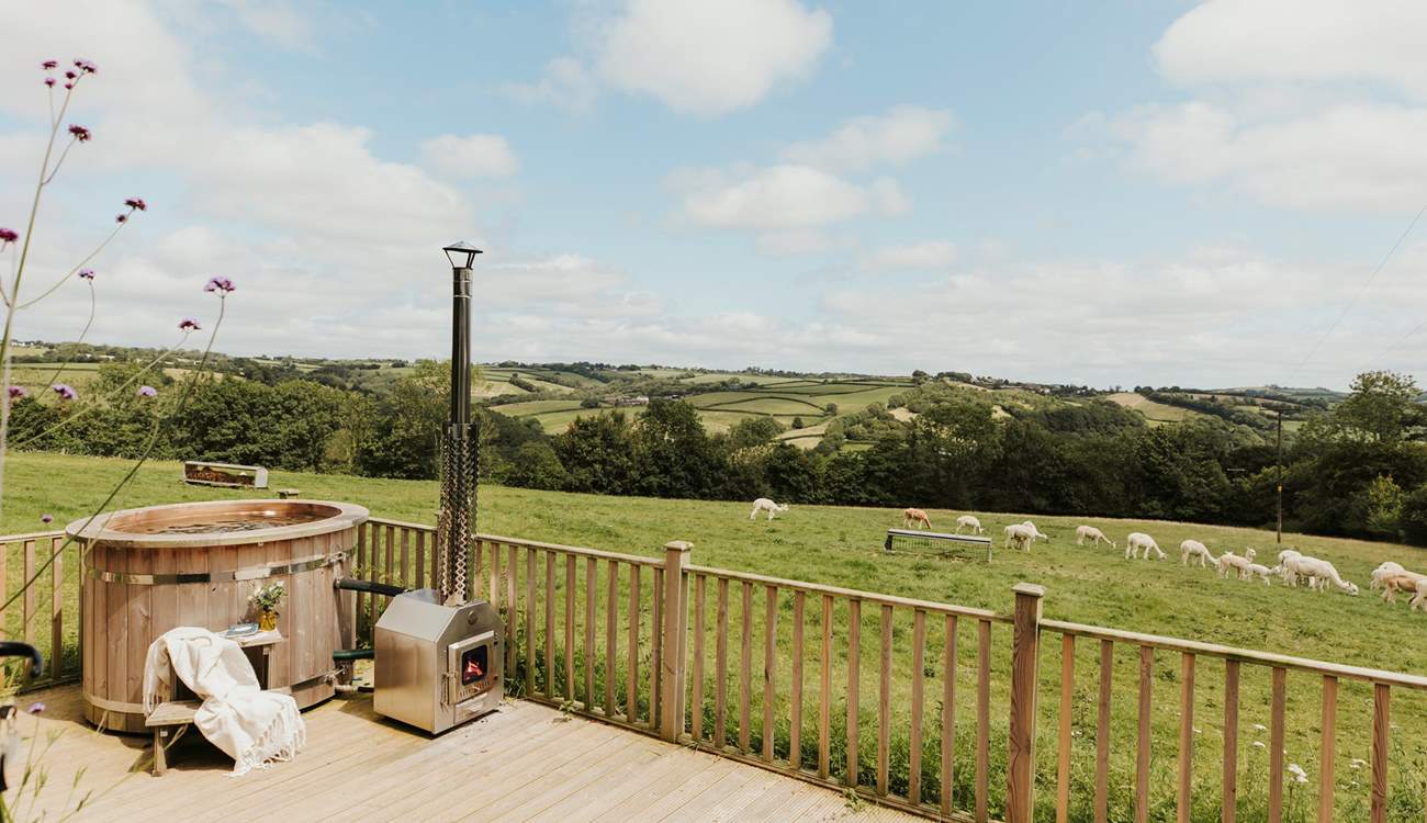 Sink into the hot tub and watch as the lovely alpacas quietly graze in the field beyond.