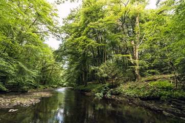 Around 40 minutes away you will find gorgeous Dartmoor. For keen walkers, be sure to pack your hiking boots!
