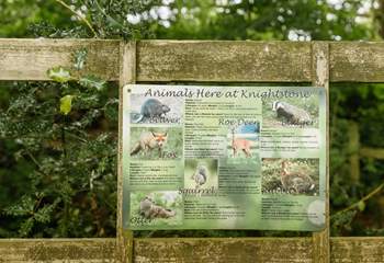 You may be lucky enough to spot a variety of wildlife from deer to otters… an unforgettable escape to nature.