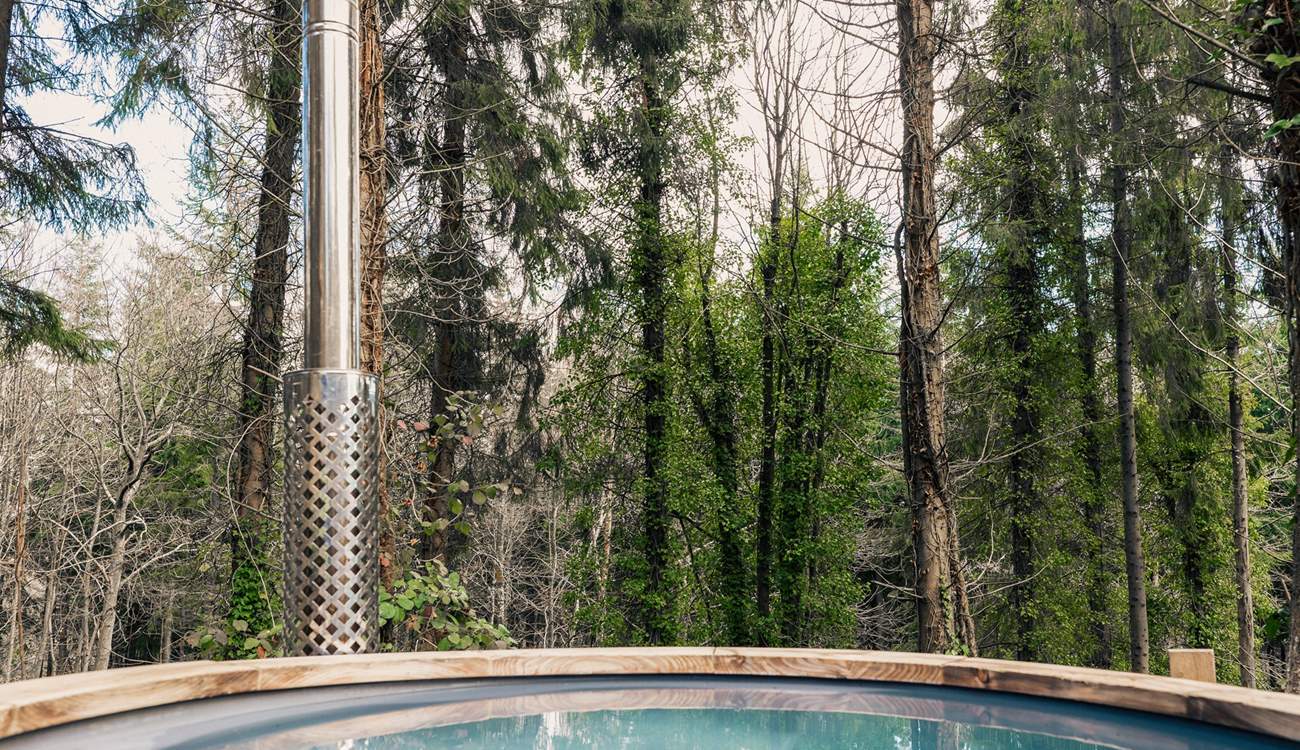 Where better to practice forest bathing and blue mind therapy? 