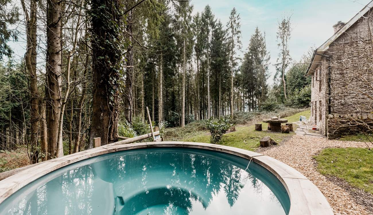 Sink into the hot tub and admire your forest surroundings. 