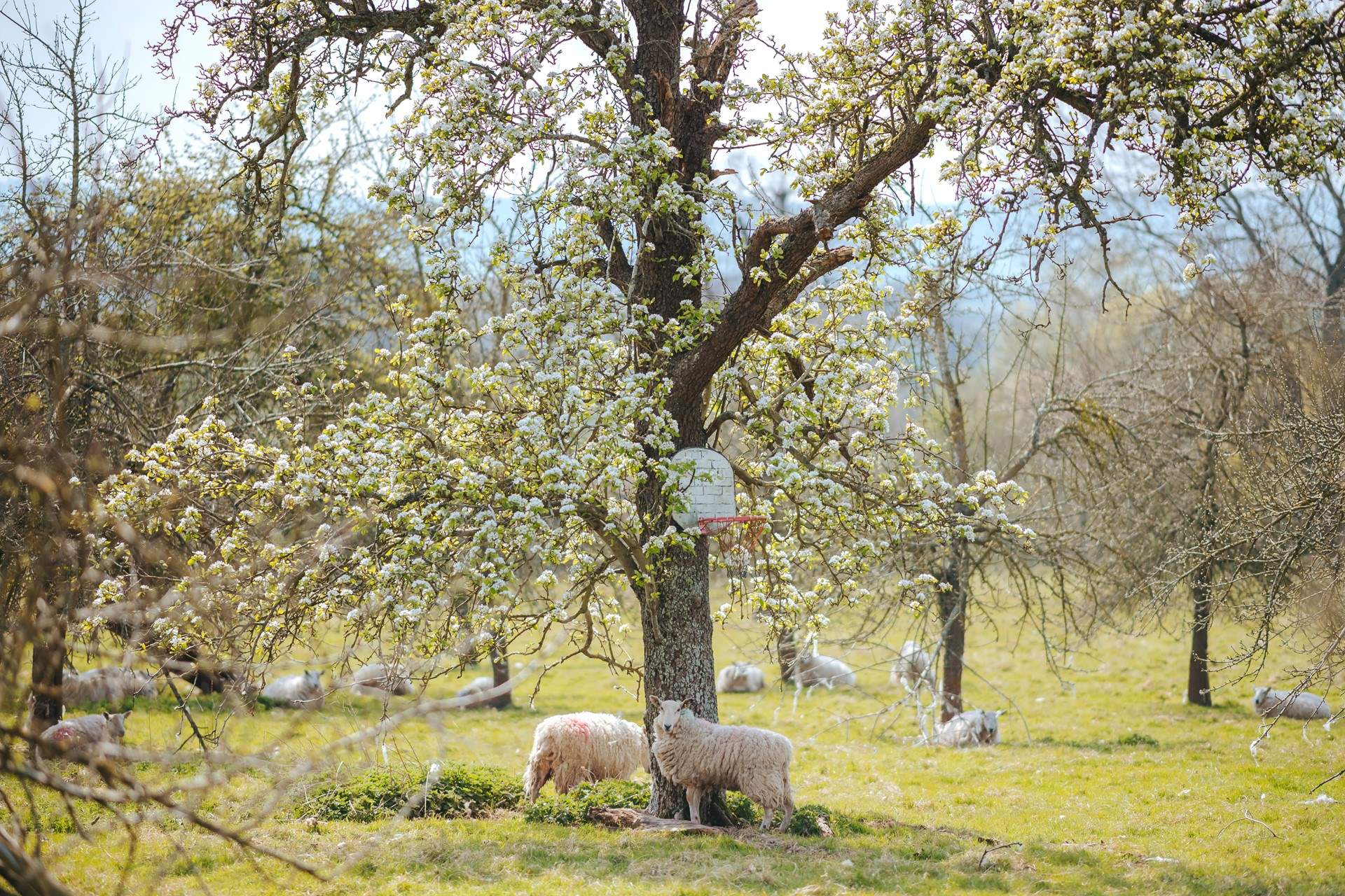 Say hello to your friendly neighbours.