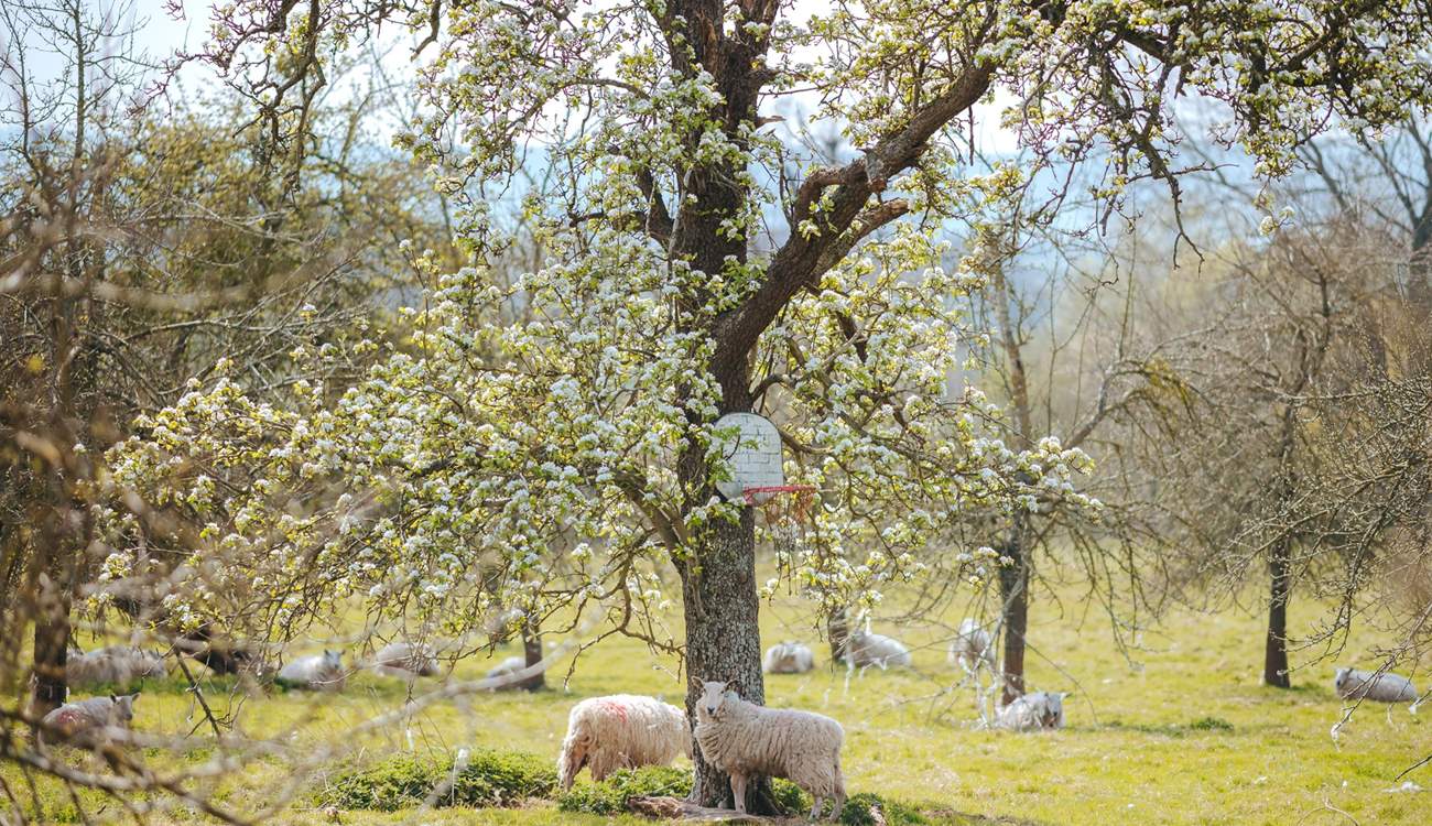 Say hello to your friendly neighbours.