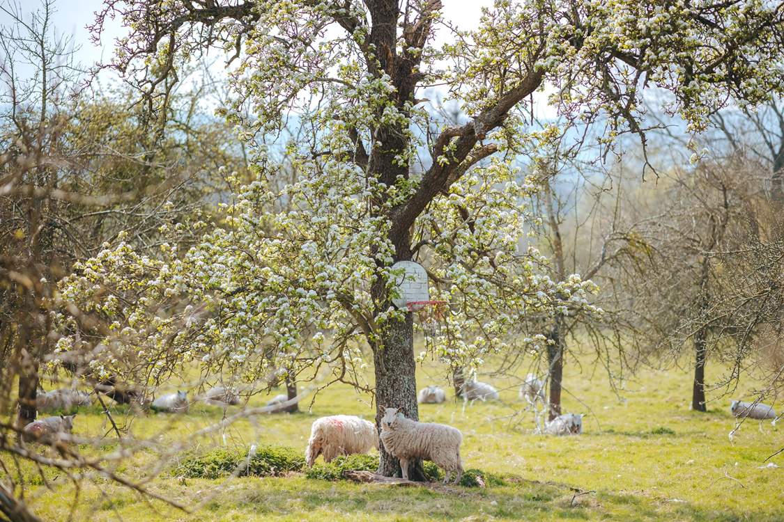 Say hello to your friendly neighbours.