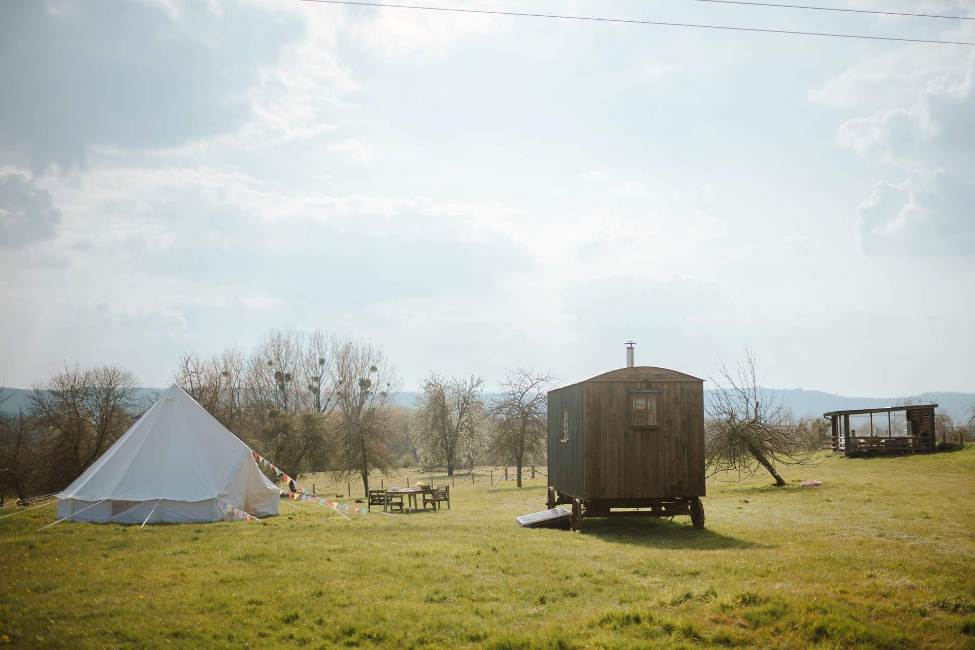 With plenty of wonderful space to roam!