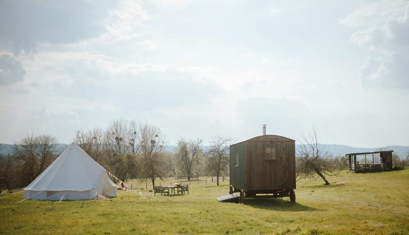 With plenty of wonderful space to roam!