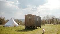 The Cider Camp is a magical getaway.