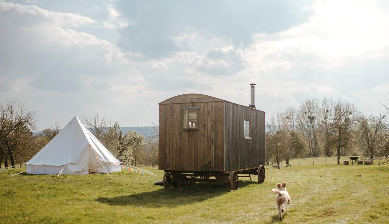 The Cider Camp is a magical getaway.