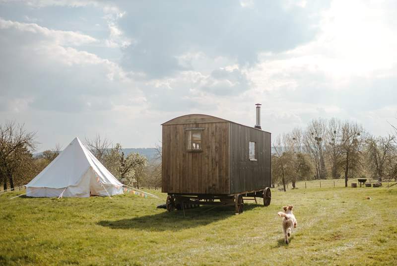The Cider Camp is a magical getaway.