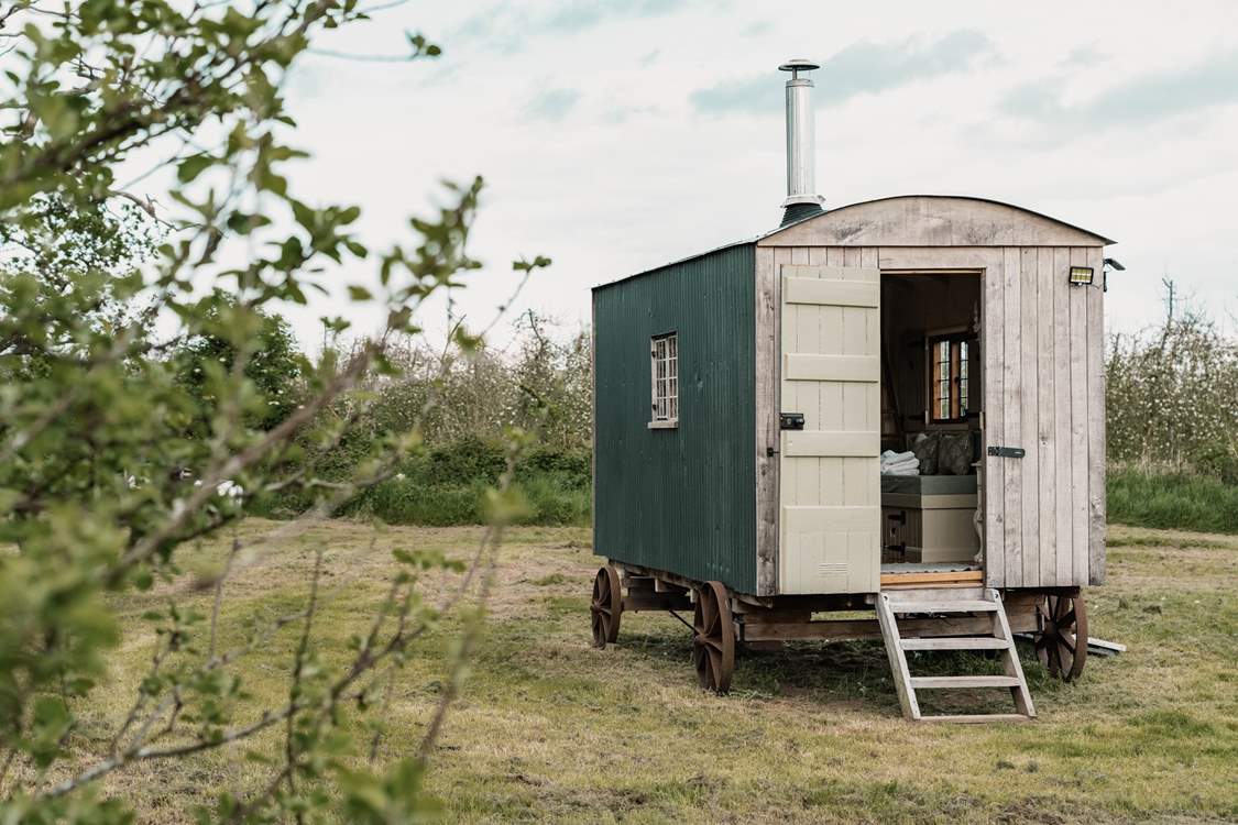 Enter the enchanting hut...