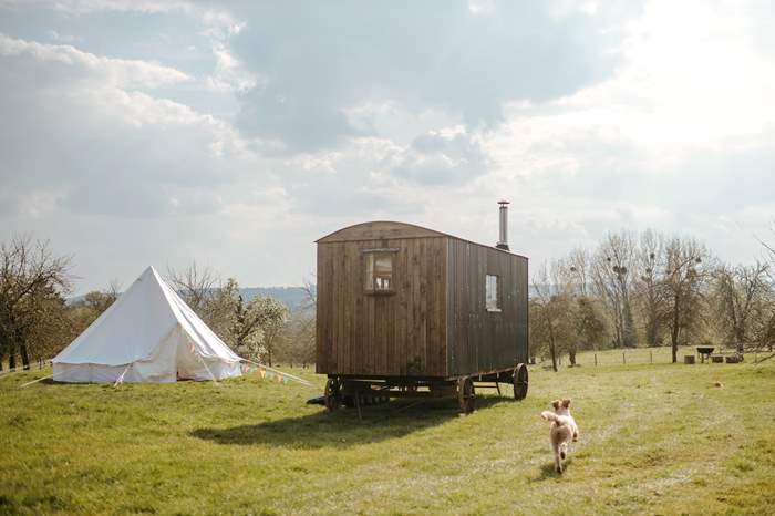 The Cider Camp is a Dog friendly Shepherds Hut and Bell Tent sleeping up to 4 near Hereford.