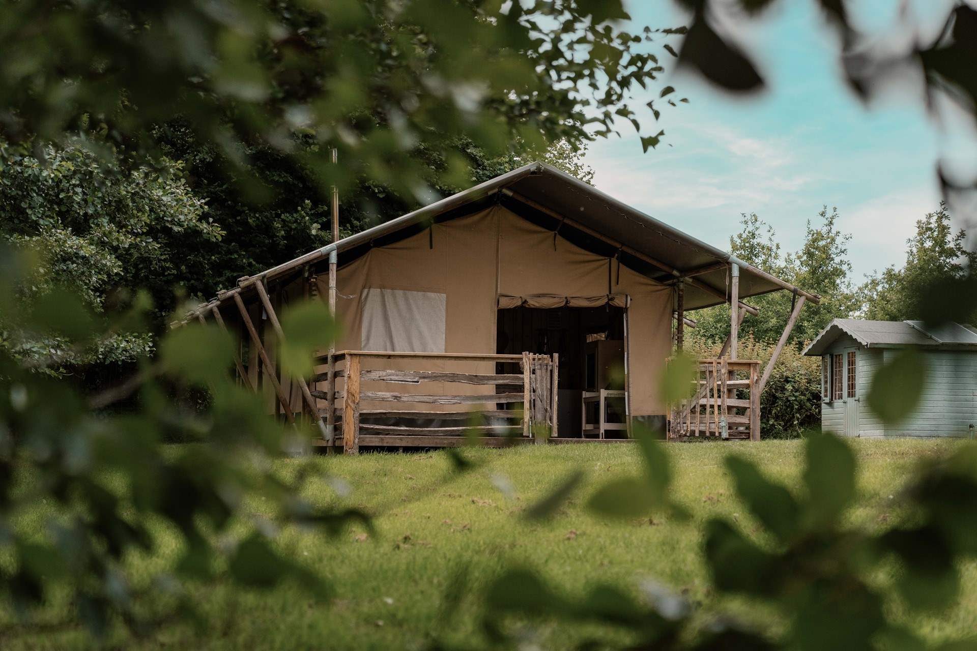 Nestled in an enchanting forest glade.