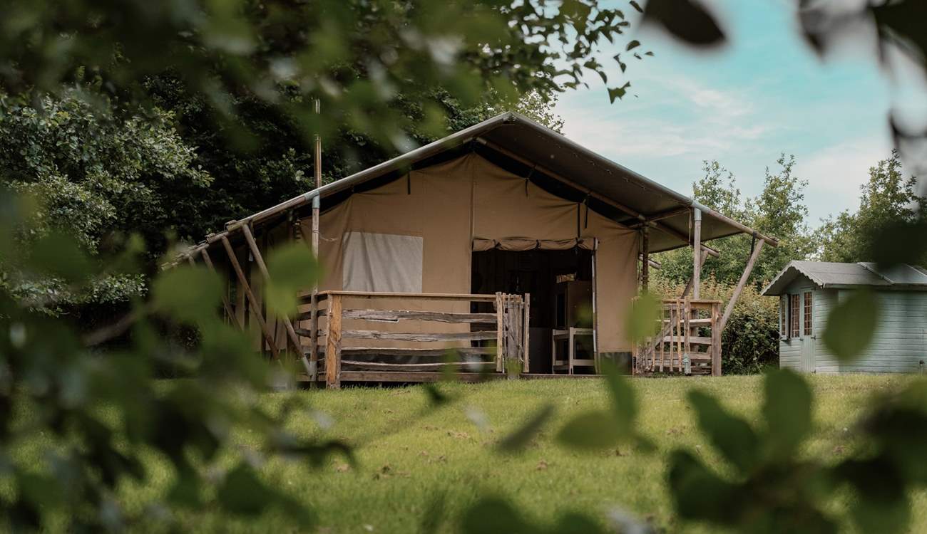 Nestled in an enchanting forest glade.