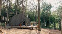 Welcome to The Hideout, our enchanting retreat nestled in the forest.