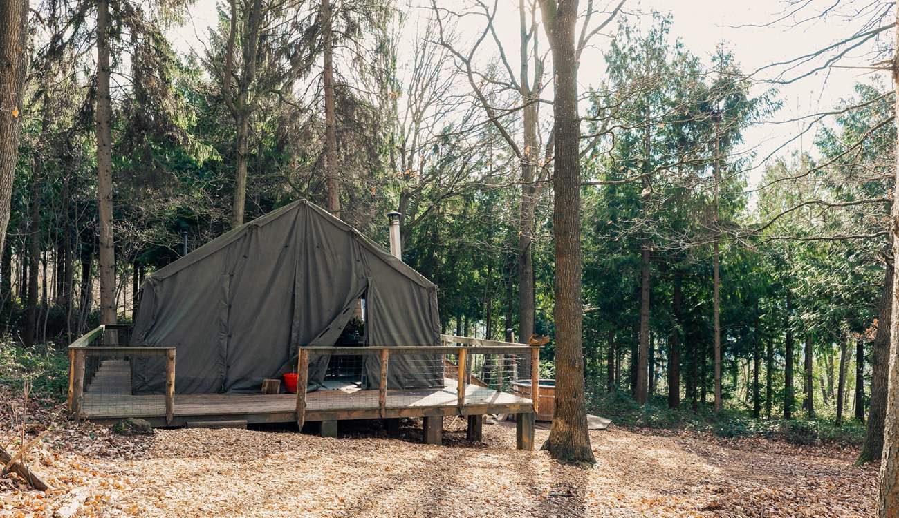 Welcome to The Hideout, our enchanting retreat nestled in the forest.
