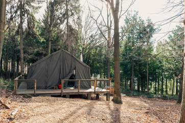 Welcome to The Hideout, our enchanting retreat nestled in the forest.