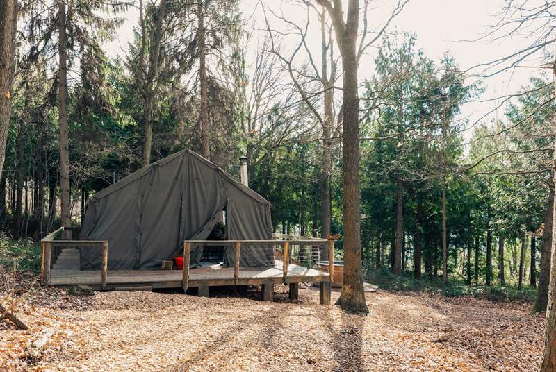 Welcome to The Hideout, our enchanting retreat nestled in the forest.