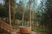 Totally secluded amongst unspoilt woodland... it doesn't get much more magical than this!