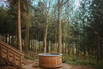 Totally secluded amongst unspoilt woodland... it doesn't get much more magical than this!