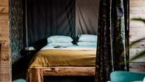 Super cosy and inviting.