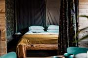 Super cosy and inviting.