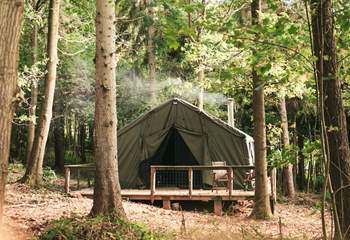 Welcome to The Hideout, our enchanting retreat nestled in the forest.