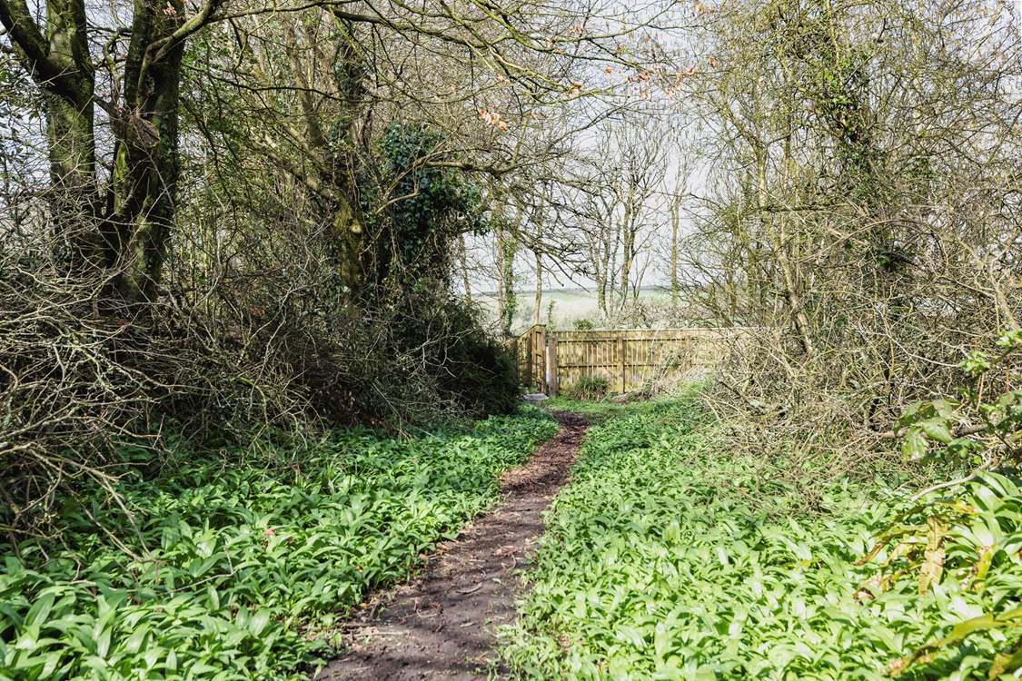 This pretty woodland path leads to the garden, do take care on rainy days and remember your wellies.