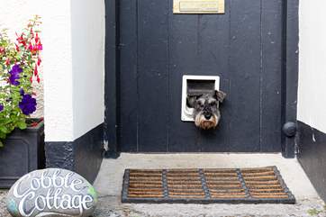 Cobble Cottage welcomes dogs as well.