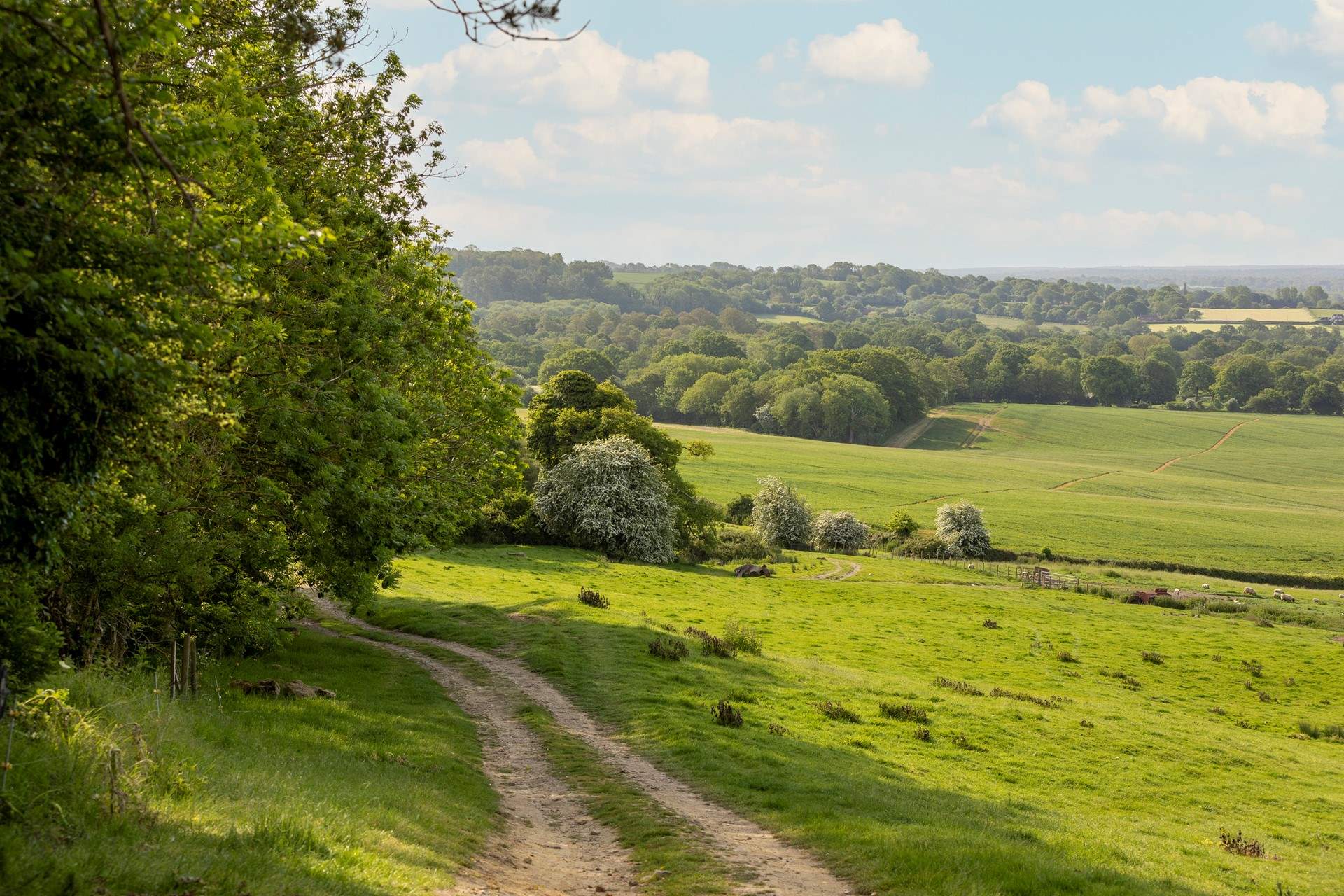 Walkers will love the abundance of footpaths that lead from the door through the Kent Weald.