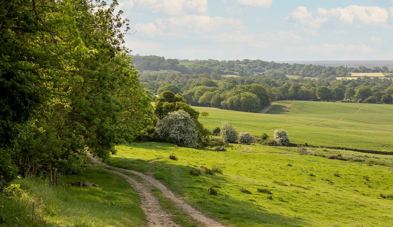 Walkers will love the abundance of footpaths that lead from the door through the Kent Weald.