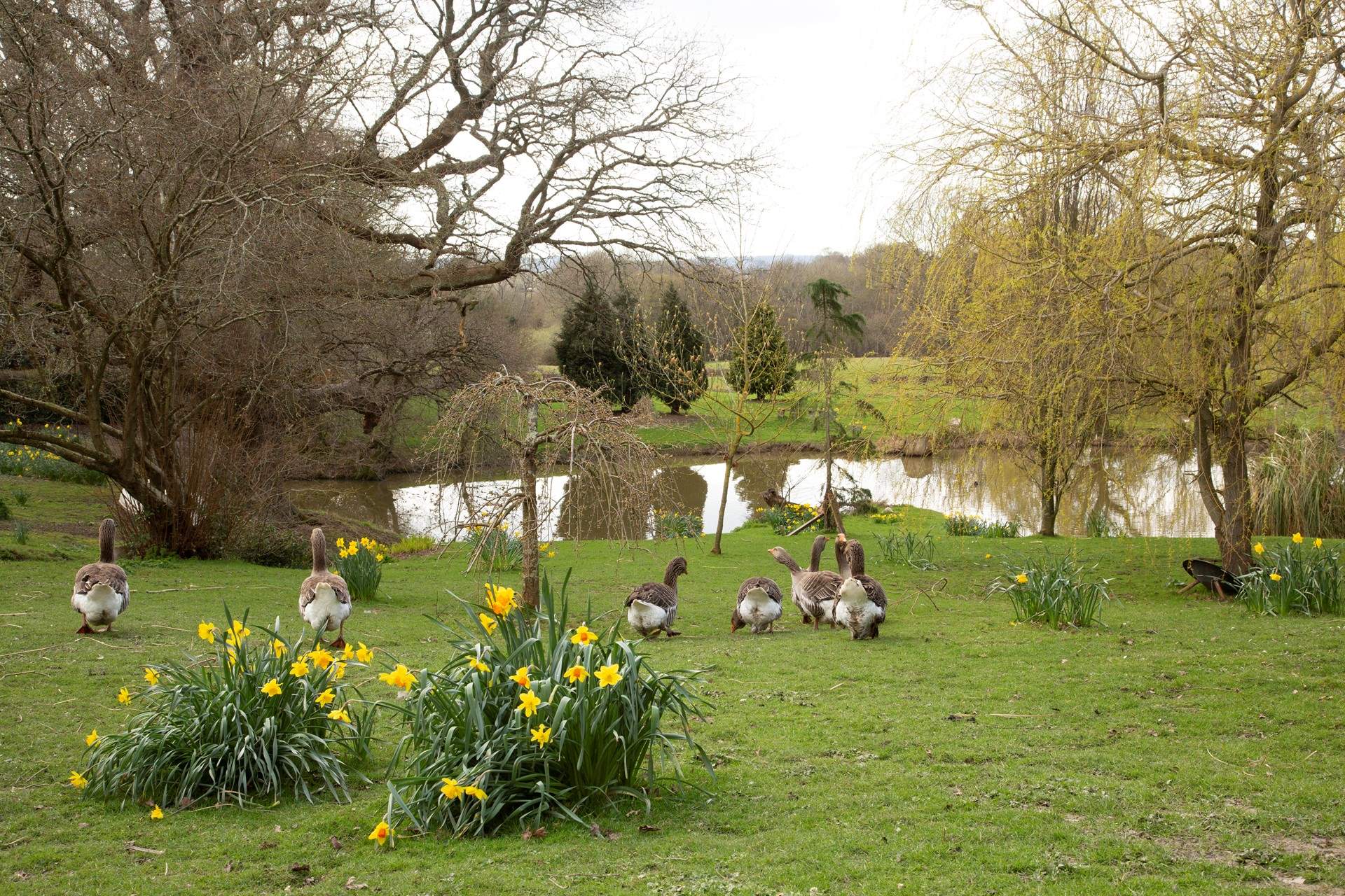 The gardens look lovely in all seasons.