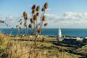Take a wonderful walk down to St Catherine's lighthouse.