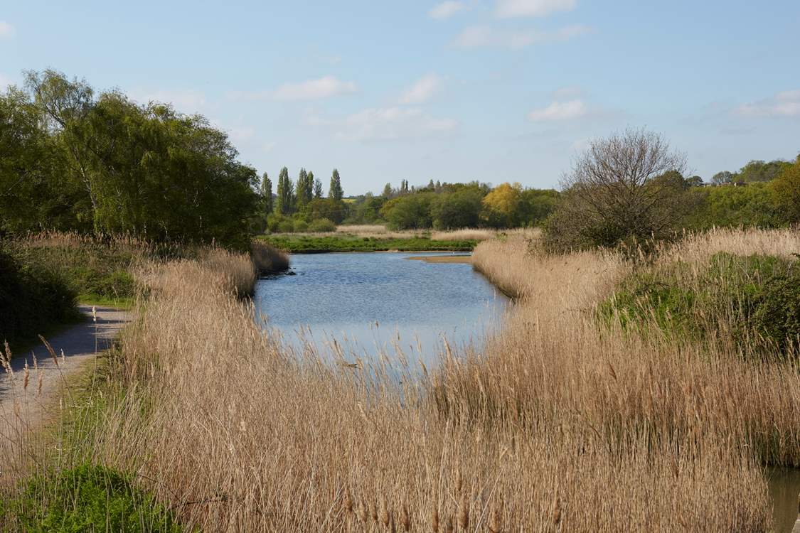 Bring your binoculars to the Hersey nature reserve a few minutes' walk from Berry Cottage and home to many bird species.