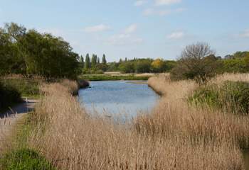 Bring your binoculars to the Hersey nature reserve a few minutes' walk from Berry Cottage and home to many bird species.