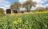 Nestled in nature and on the edge of a picturesque working farm.  - Thumbnail Image