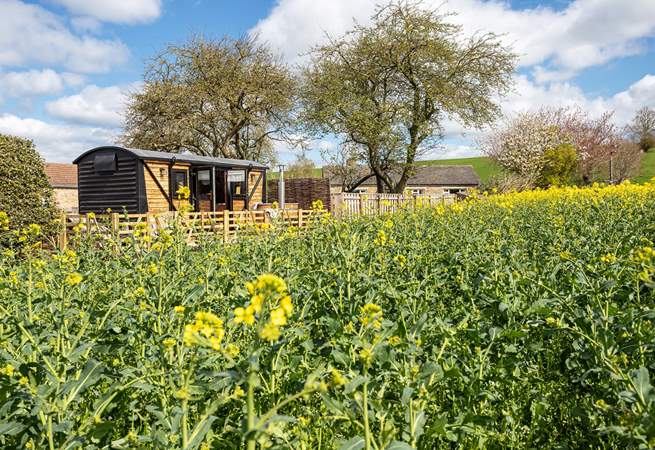 Nestled in nature and on the edge of a picturesque working farm. 