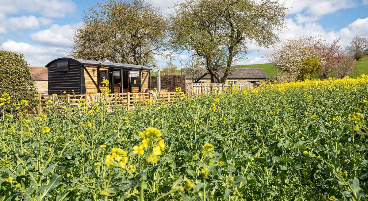 Nestled in nature and on the edge of a picturesque working farm. 