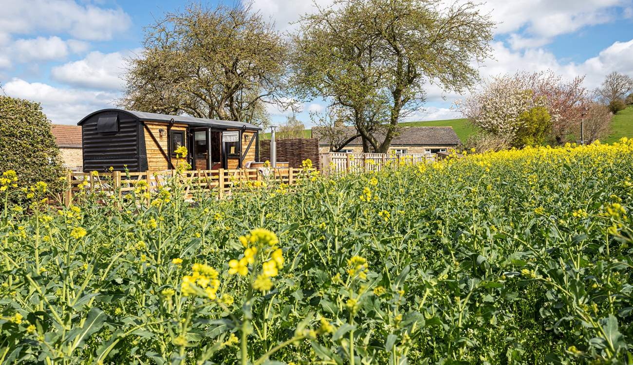 Nestled in nature and on the edge of a picturesque working farm. 