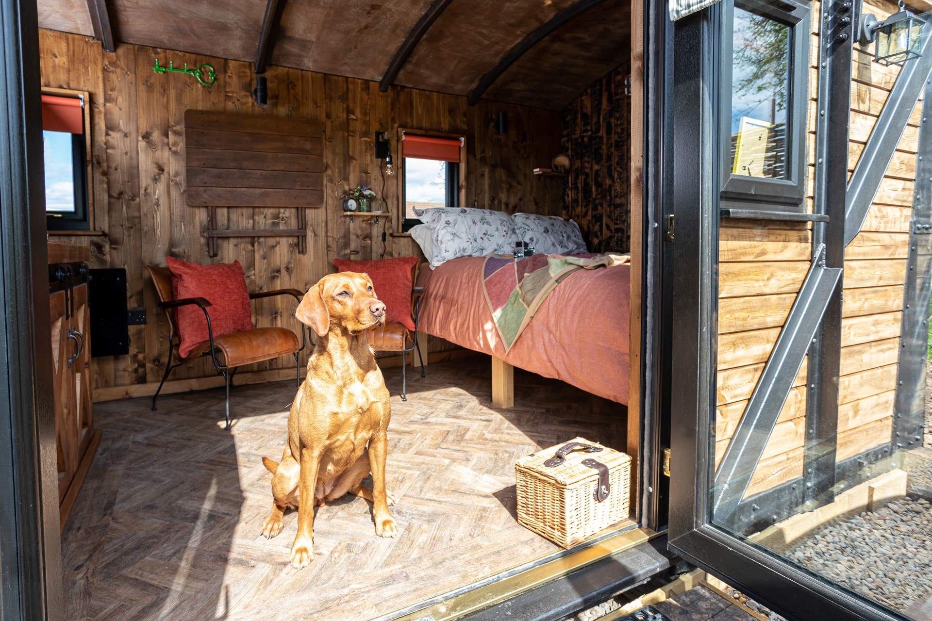 Your four-legged friend is warmly welcomed at Sammi's Freight.