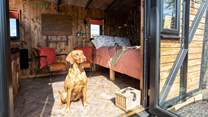 Your four-legged friend is warmly welcomed at Sammi's Freight.