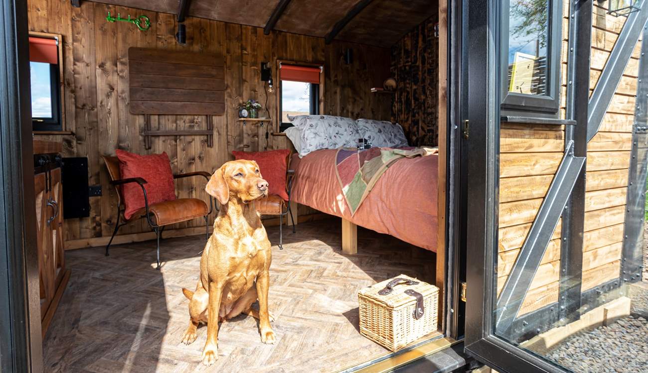 Your four-legged friend is warmly welcomed at Sammi's Freight.