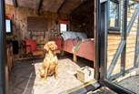Your four-legged friend is warmly welcomed at Sammi's Freight.