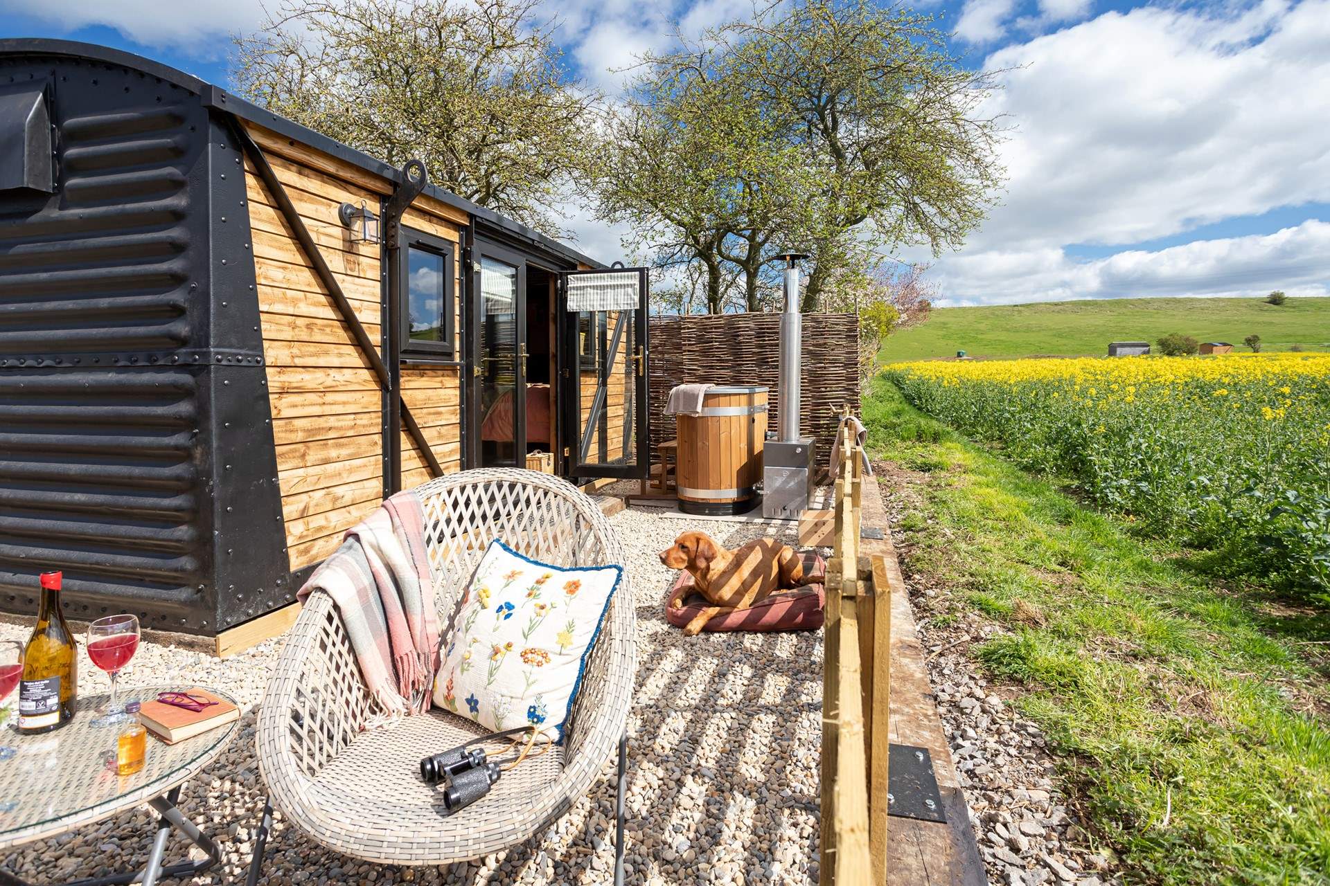 They will love soaking up the sunshine as much as you! 