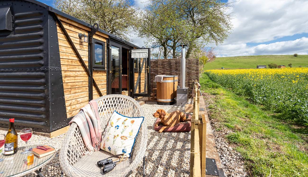 They will love soaking up the sunshine as much as you! 