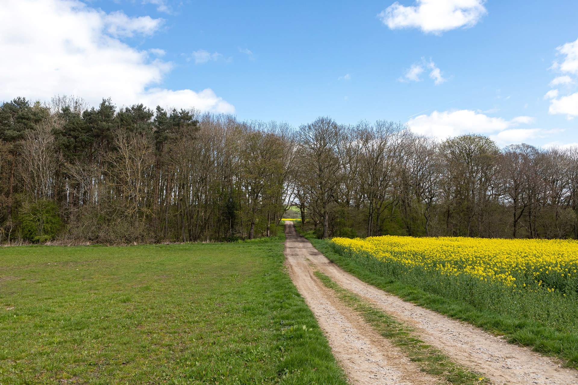 Your one-of-a-kind retreat awaits... 